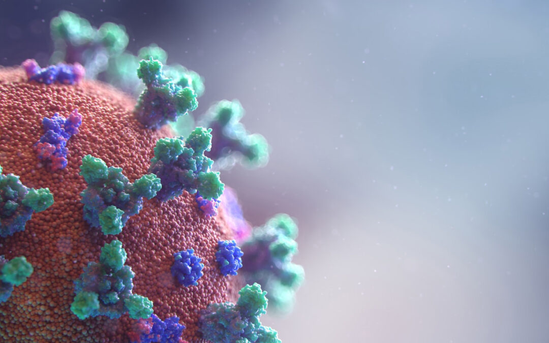 Corona Global Legal News